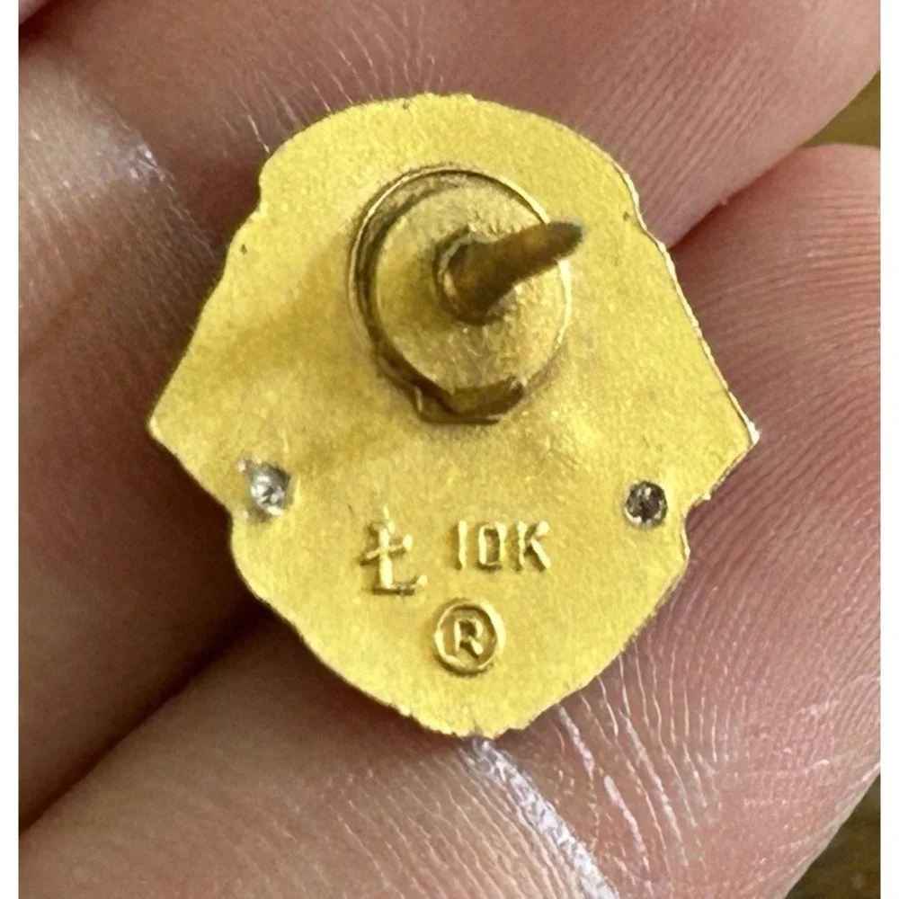 10k Yellow Gold & Enamel Lions Club Past President Pin 2 Grams